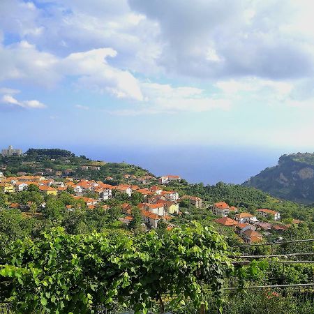 Agriturismo Il Castagno Villa Agerola Eksteriør bilde