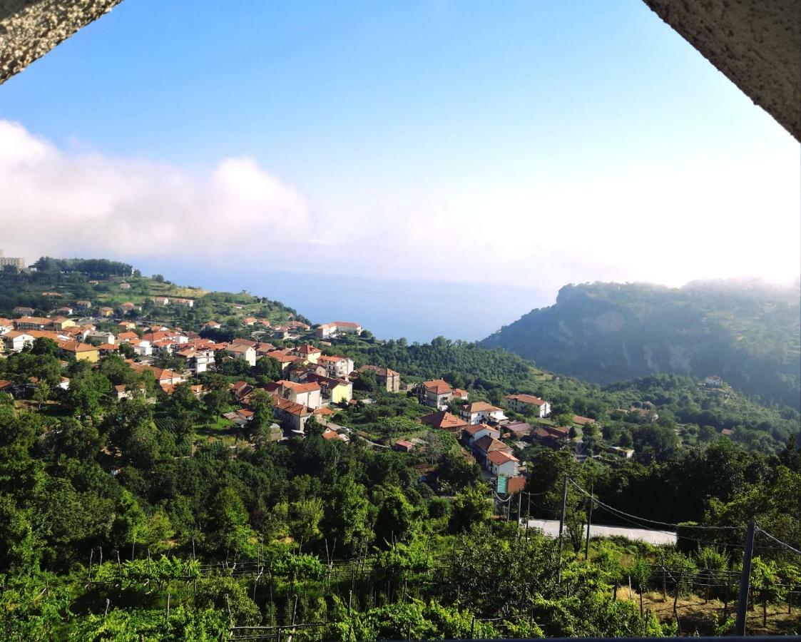 Agriturismo Il Castagno Villa Agerola Eksteriør bilde
