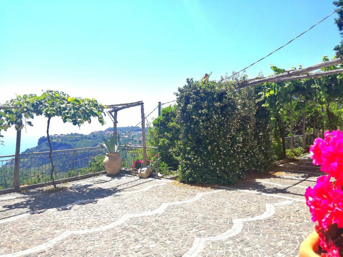 Agriturismo Il Castagno Villa Agerola Eksteriør bilde