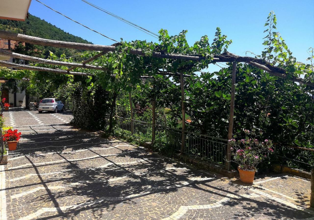 Agriturismo Il Castagno Villa Agerola Eksteriør bilde