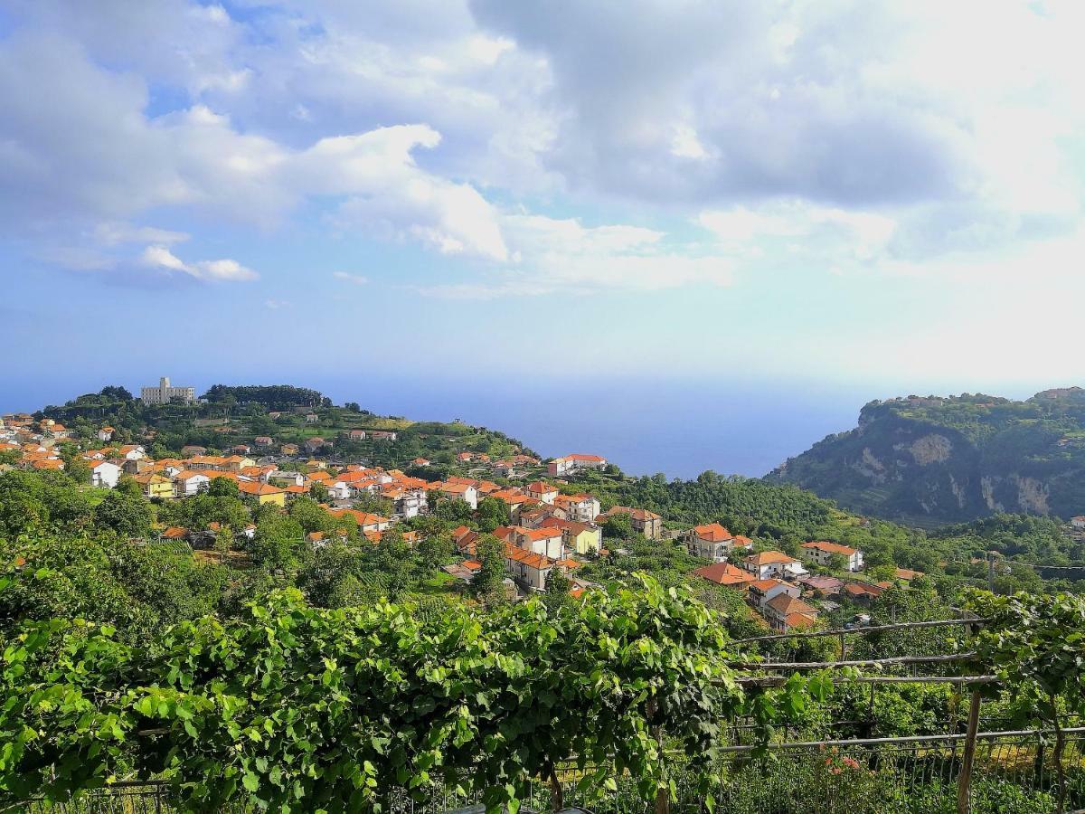 Agriturismo Il Castagno Villa Agerola Eksteriør bilde